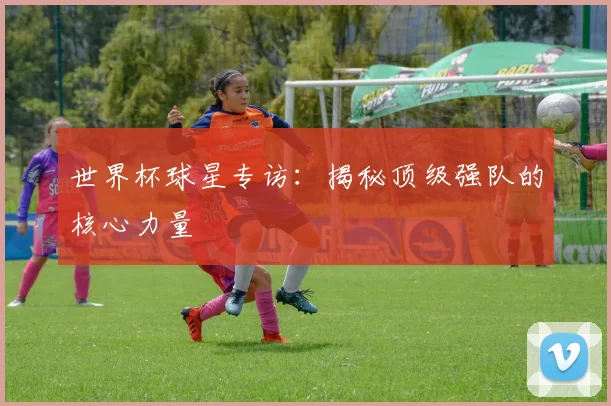 世界杯球星专访：揭秘顶级强队的核心力量