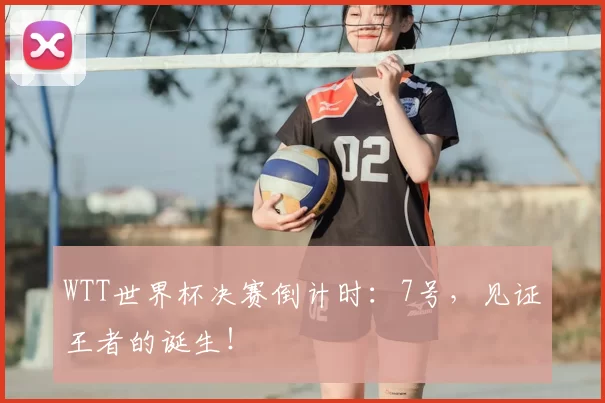 WTT世界杯决赛倒计时:7号,见证王者的诞生!