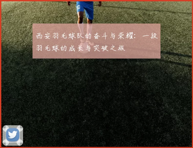 西安羽毛球队的奋斗与荣耀：一段羽毛球的成长与突破之旅
