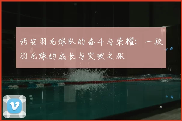 西安羽毛球队的奋斗与荣耀:一段羽毛球的成长与突破之旅