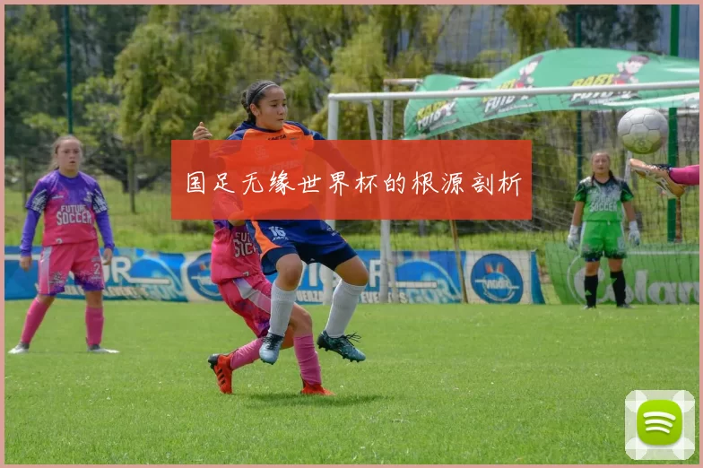 国足无缘世界杯的根源剖析