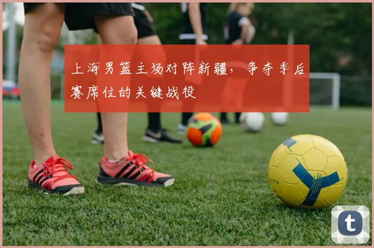 上海男篮主场对阵新疆,争夺季后赛席位的关键战役