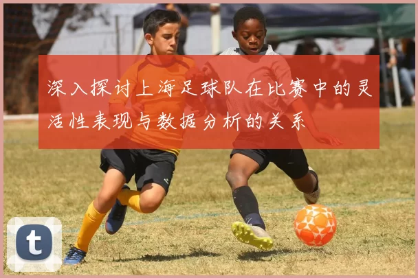 深入探讨上海足球队在比赛中的灵活性表现与数据分析的关系