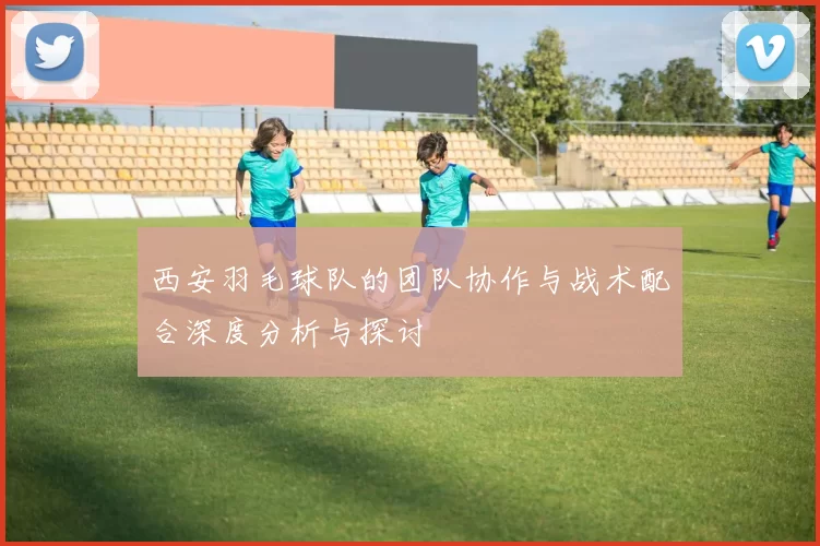 西安羽毛球队的团队协作与战术配合深度分析与探讨