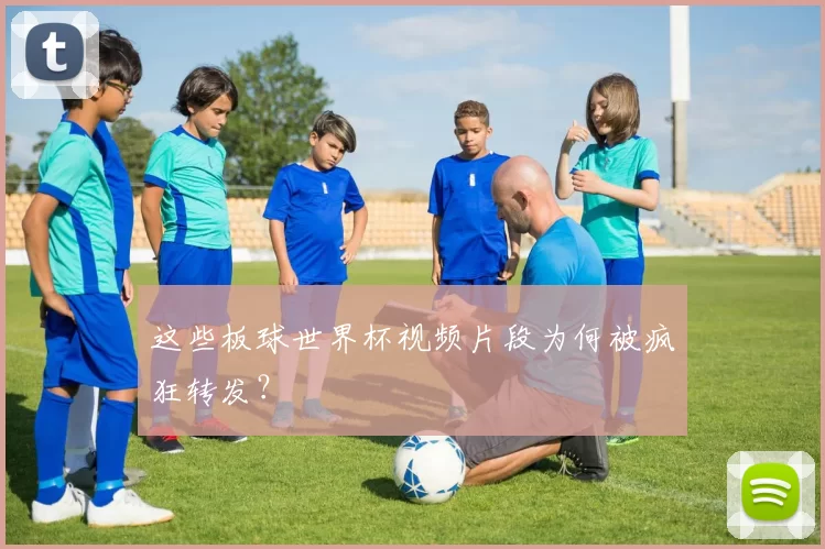 这些板球世界杯视频片段为何被疯狂转发?
