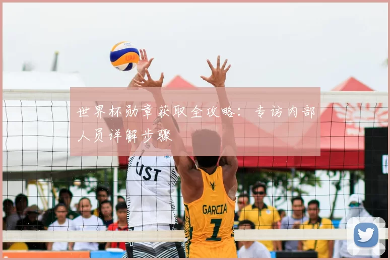 世界杯勋章获取全攻略:专访内部人员详解步骤