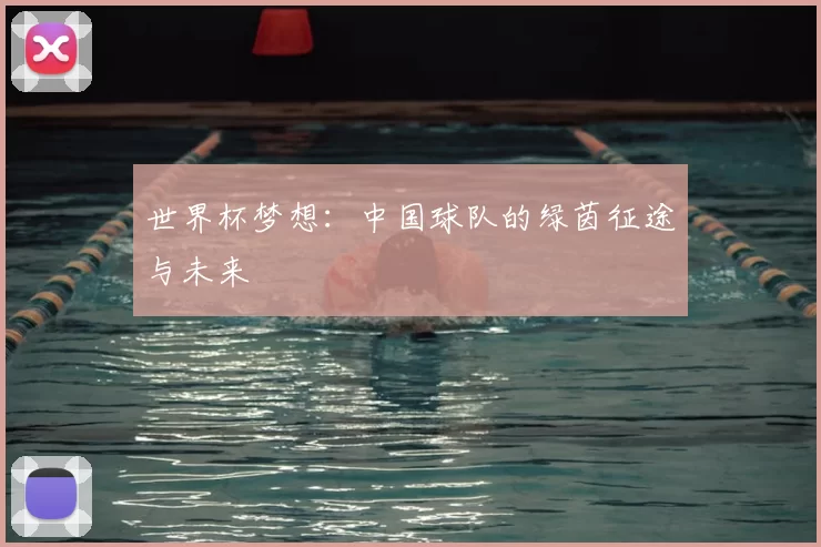 世界杯梦想:中国球队的绿茵征途与未来
