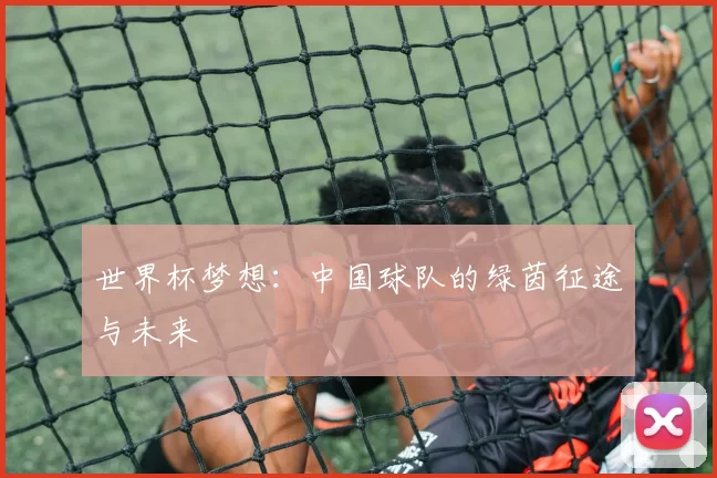 世界杯梦想：中国球队的绿茵征途与未来