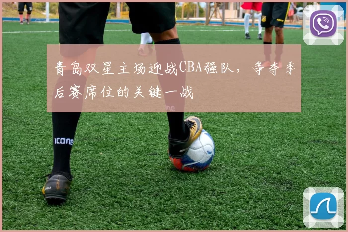 青岛双星主场迎战CBA强队,争夺季后赛席位的关键一战