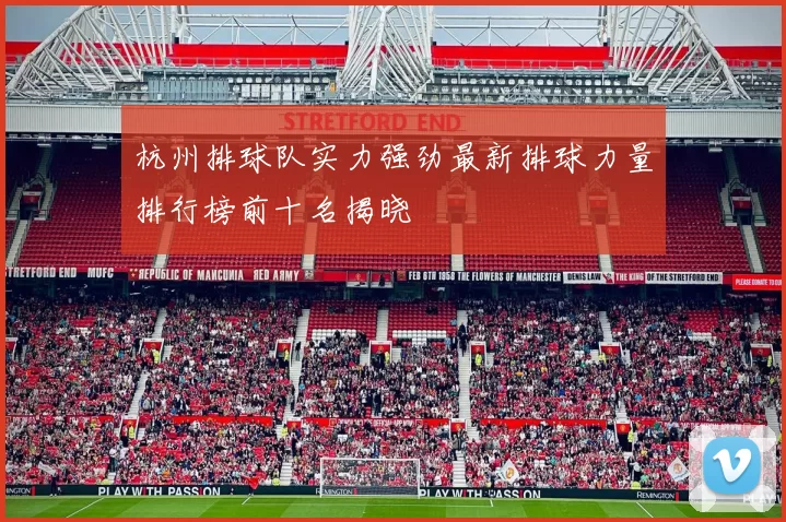 杭州排球队实力强劲最新排球力量排行榜前十名揭晓