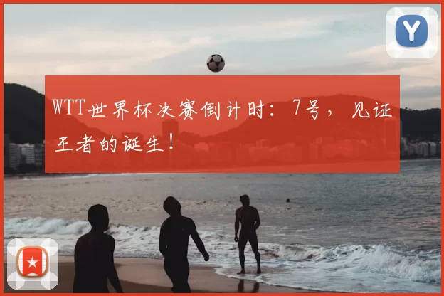 WTT世界杯决赛倒计时:7号,见证王者的诞生!