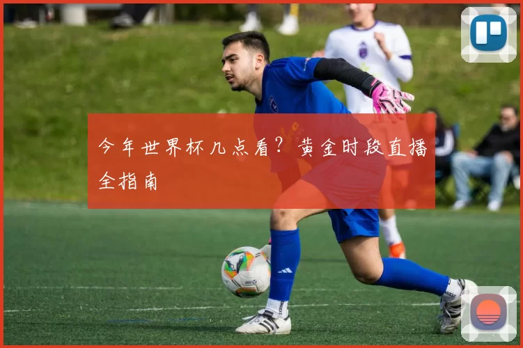 今年世界杯几点看?黄金时段直播全指南