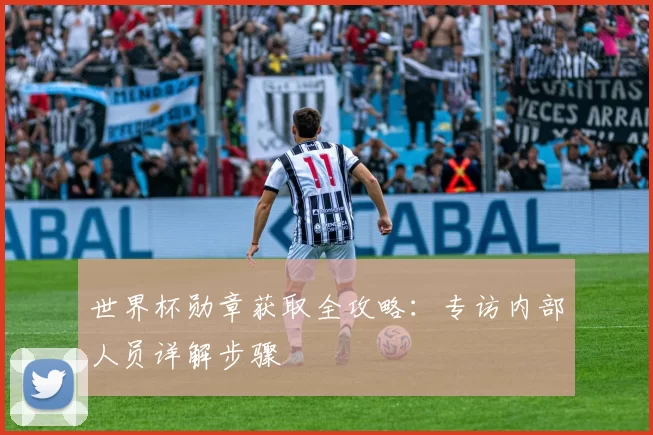世界杯勋章获取全攻略：专访内部人员详解步骤