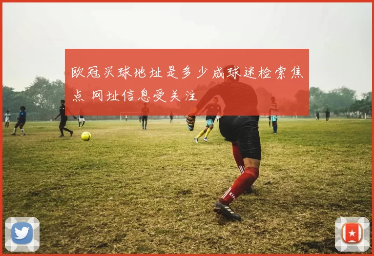 欧冠买球地址是多少成球迷检索焦点 网址信息受关注